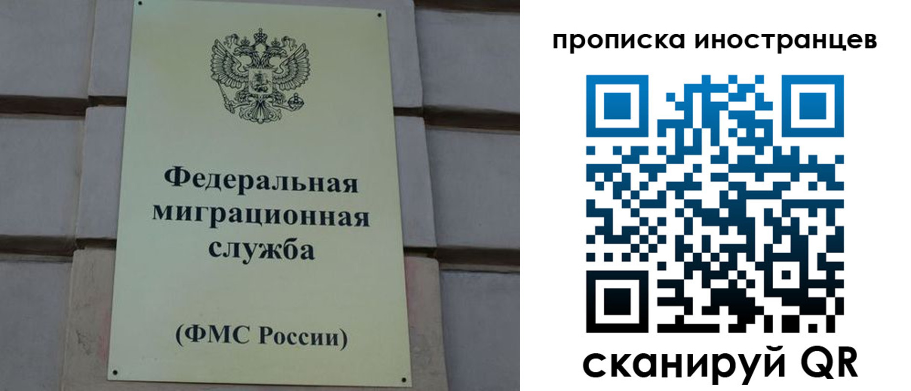 прописка в квартире в Сольцах